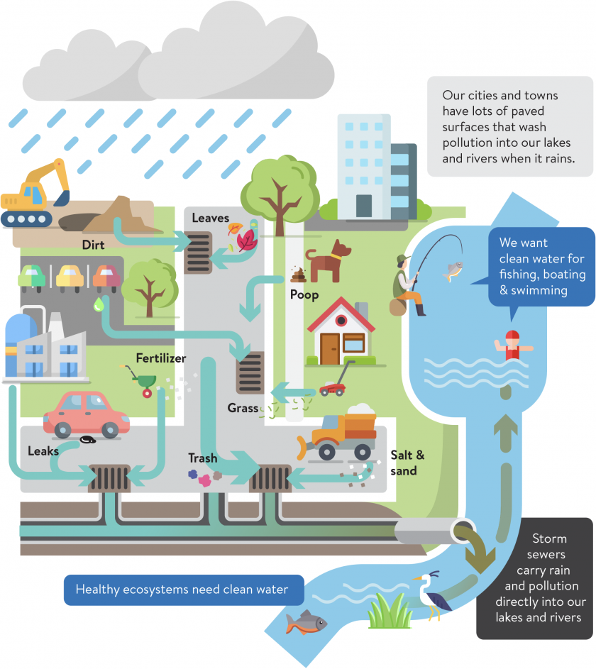 MS4 Program Infographic